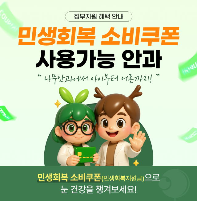 민생회복 소비쿠폰 사용안내